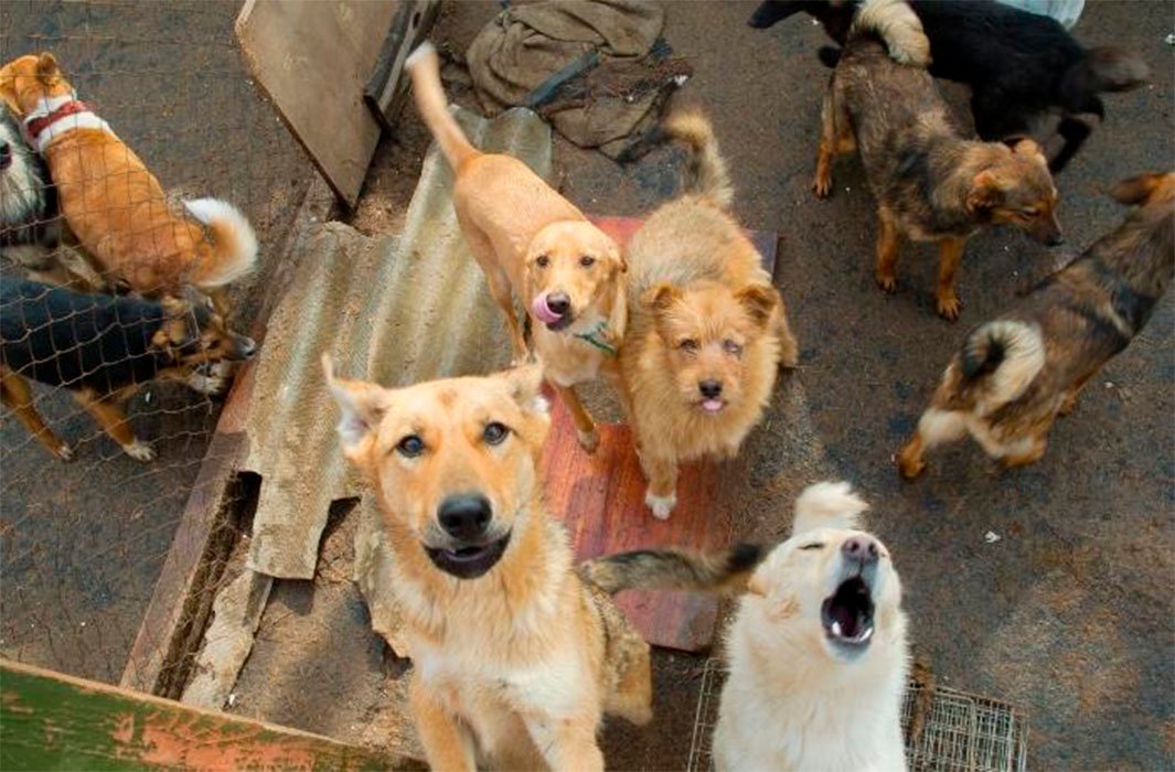 Corea cierra una era